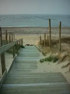 Borne de Recharge 85 Installateur borne de recharge La Guérinière