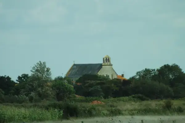 Borne de Recharge 85 Installateur borne de recharge Moreilles